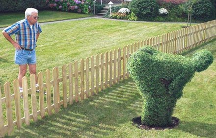 jardinage.jpg